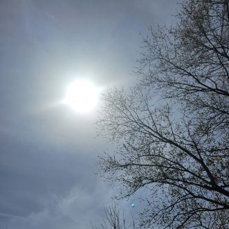 Writing Prompt Exercise: An Experiment in Bravery and Trust