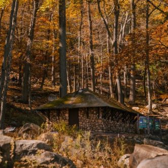 Writing Prompt Exercise: A cabin far away from everything